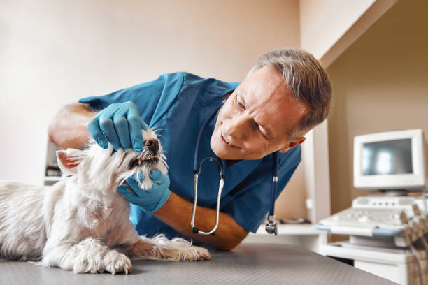 Best Weekend Emergency Dentist in Kermit, TX