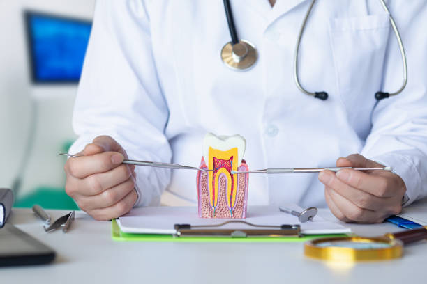 Best Emergency Dentist for Lost Fillings or Crowns in Kermit, TX